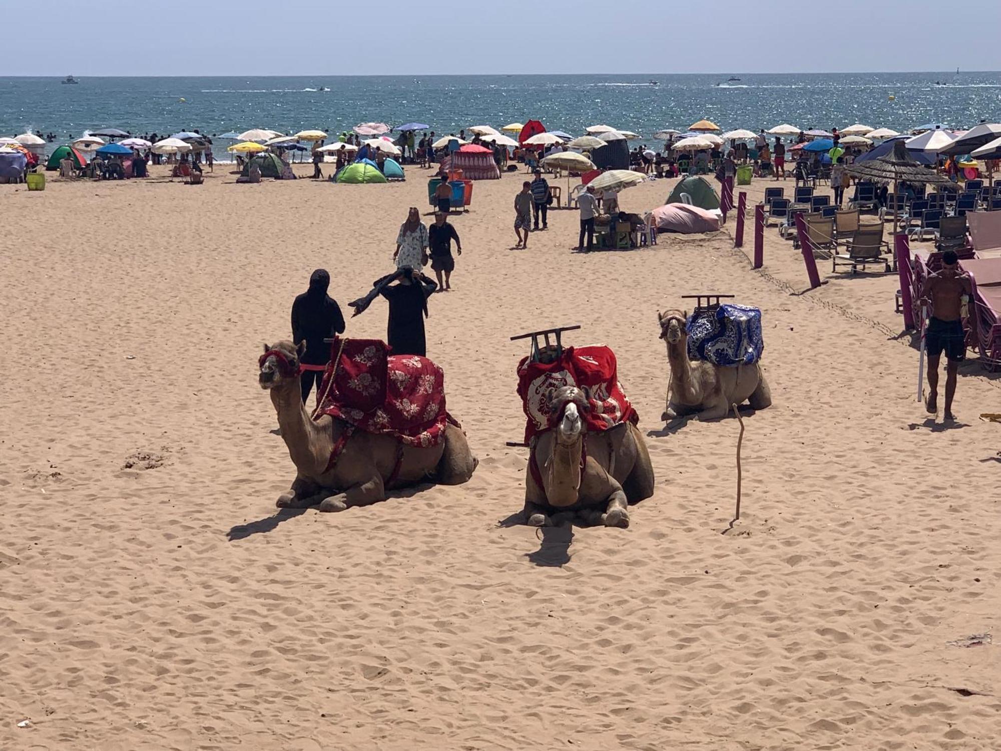 Luxury Apartment In Agadir Bay Zewnętrze zdjęcie